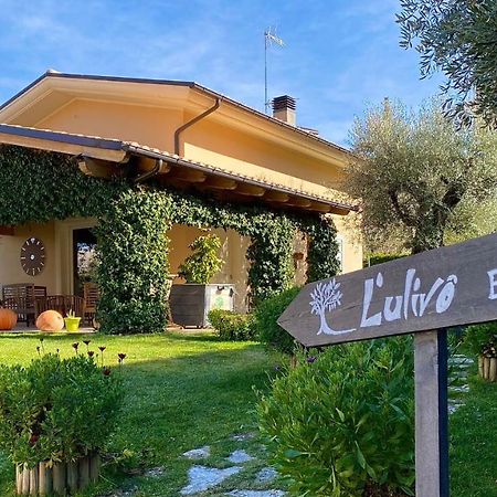 L' Ulivo Bed & Breakfast Teramo Luaran gambar