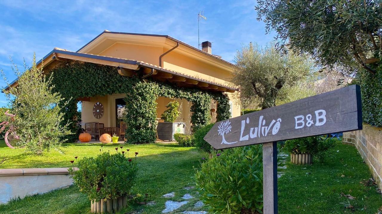 L' Ulivo Bed & Breakfast Teramo Luaran gambar