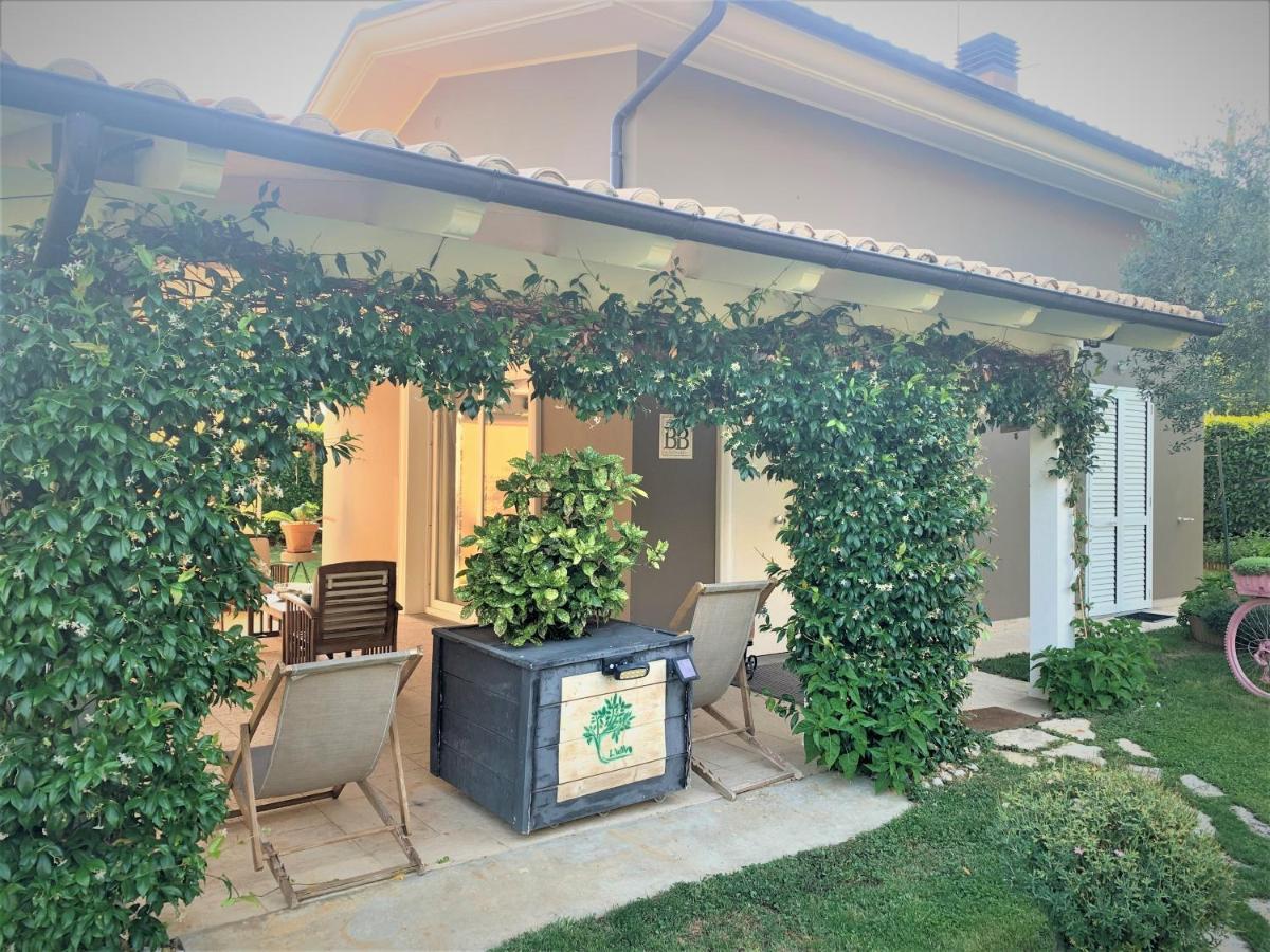 L' Ulivo Bed & Breakfast Teramo Luaran gambar